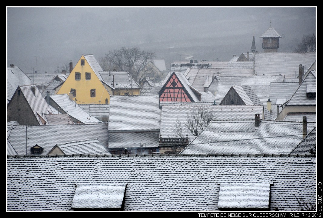 Tempête de neige à Gueberschwihr.